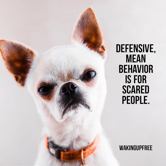 Meet your Posher, Lizay - Picture 4 of 10